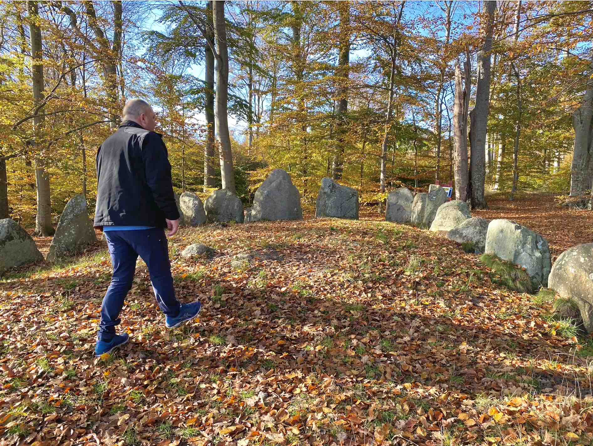 Tingstedet i Kongsøre Skov. En skov med masser af historie, mulighed for at slå telt op, toiletter og bål muligheder.